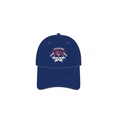 AquaPanther Team Hat