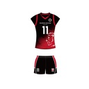 High School Volleyball - Away DCB Lions Kit